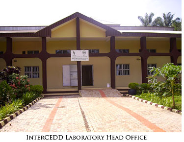 InterCEDD Head Office